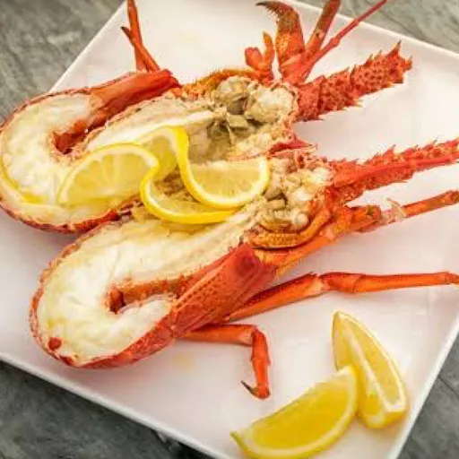 Deniz böceği (Lobster)