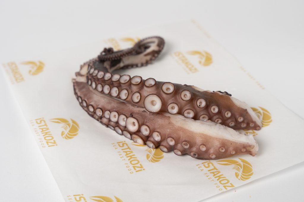 Octopus Leg