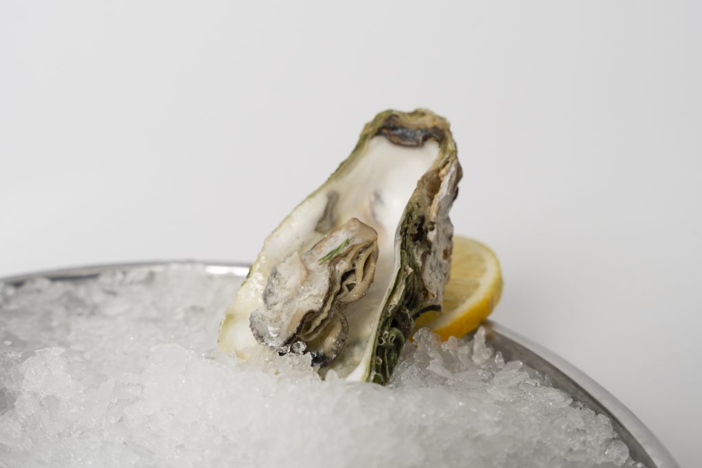 Oyster