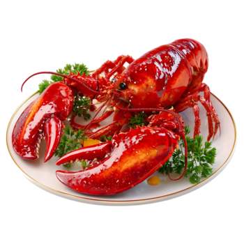 delicious red lobster garnished with parsley on a white plate free png